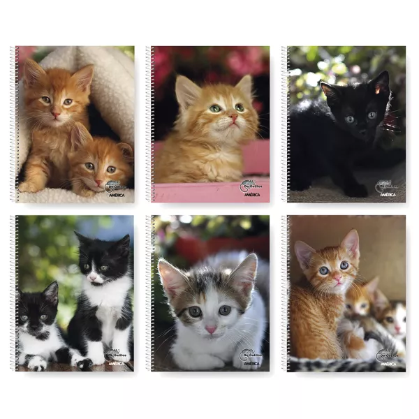 Cuaderno Universitario América De Gatitos