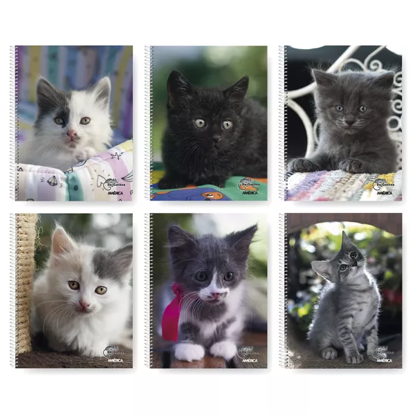 Cuaderno Universitario América De Gatitos