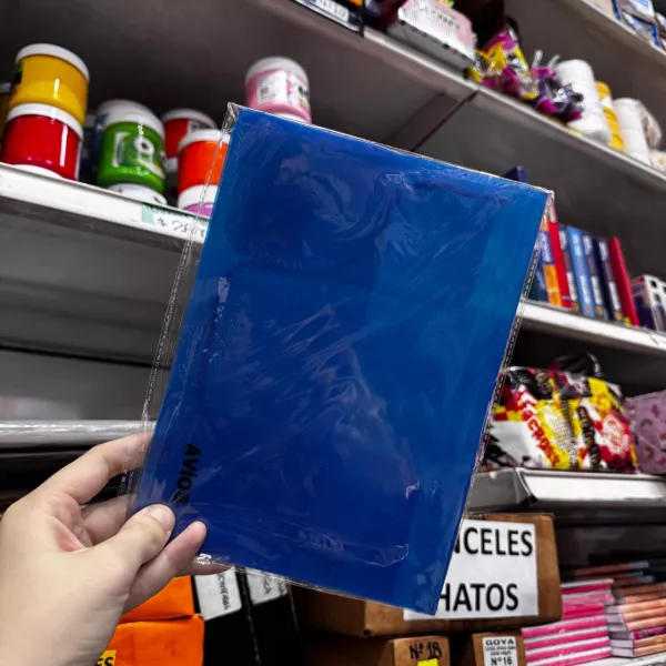 Carpeta A5 con elástico