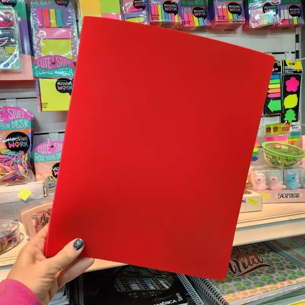 CARPETA - A4 - 2X20 - ENTELADAS