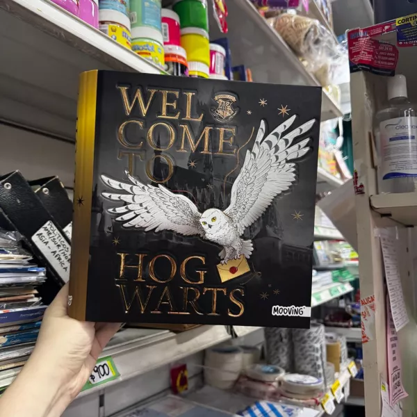 Carpeta Mooving Nro 3 aro de 40 Harry Potter 2025