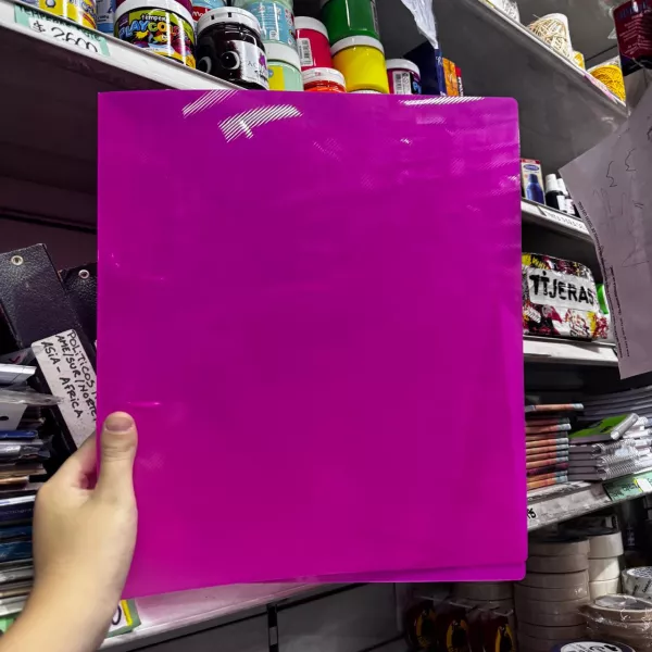 Carpeta con aro A4 Avios Transparente Fucsia 2025