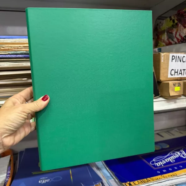 CARPETA - A4 - 2X20 Forrada Verde