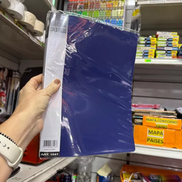 Carpeta con Folios A4 Avios 30 folios