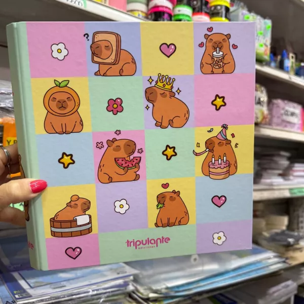 Carpeta Nro 3 Tripulante 2026  