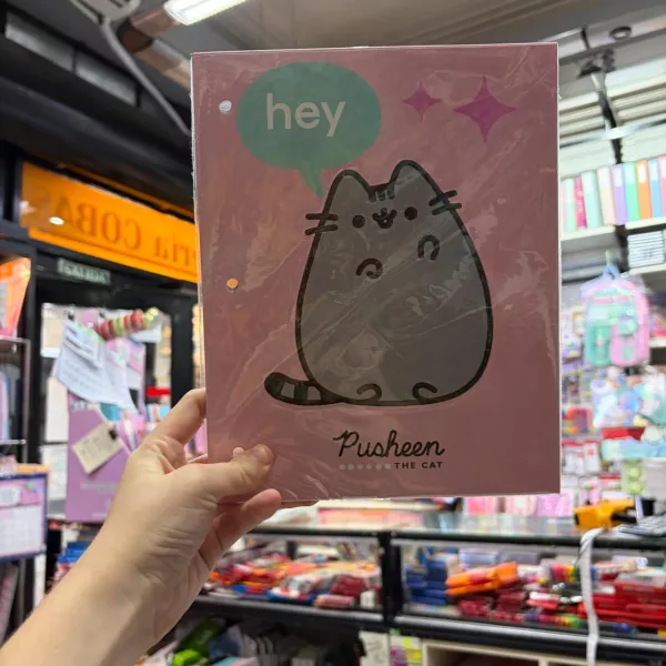 Carpeta dos Tapas Nro 3 Pusheen