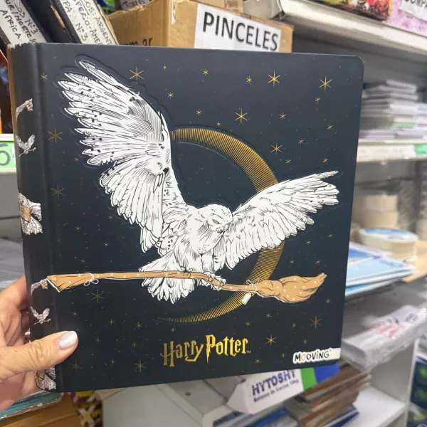 Carpeta Nro 3 Mooving Harry Potter 2026
