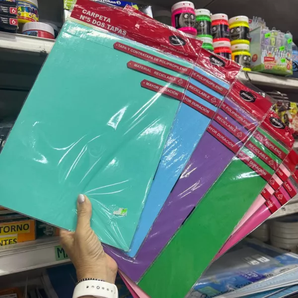 CARPETA - Nº5 DOS TAPAS - ENTELADAS - 10 COLORES