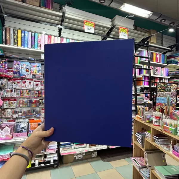 CARPETA THE PEL A4 2 X 40 MM. FORRADA AZUL