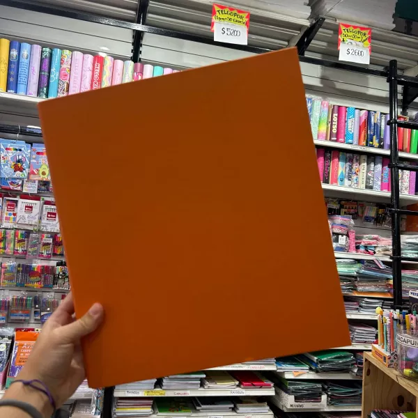 CARPETA THE PEL A4 2 X 40 MM. FORRADA NARANJA