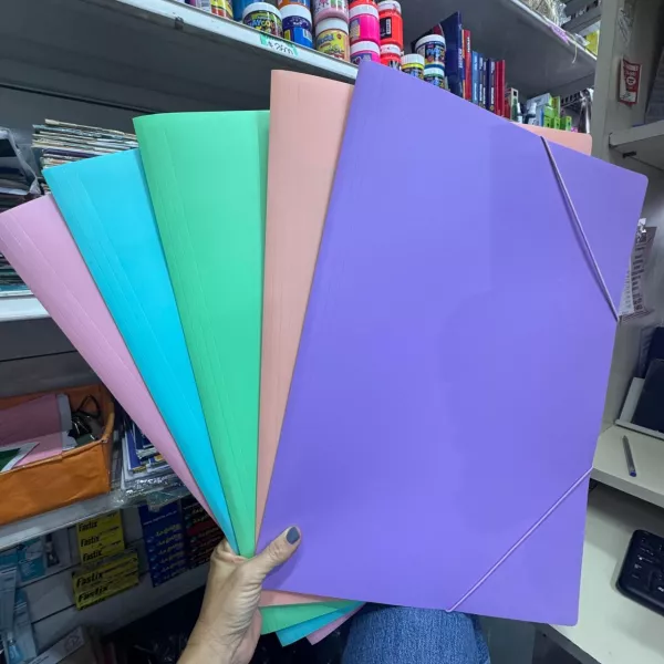 Carpeta 3 solapas N°6 Lama de plástico