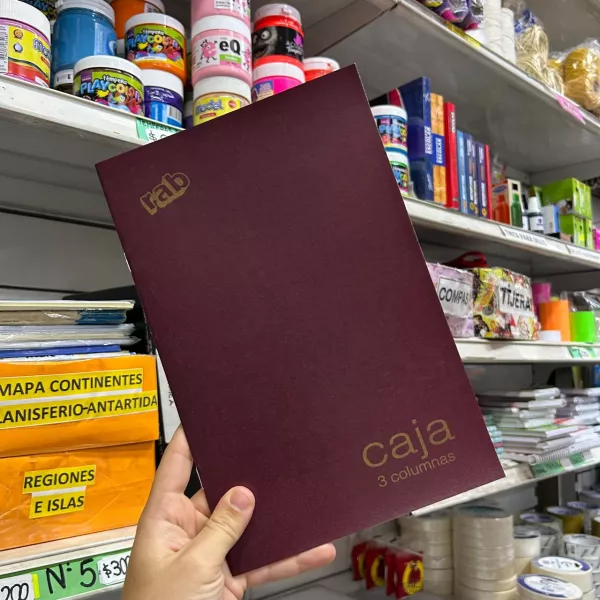 Libro de contabilidad RAB T/F Caja 3 columnas