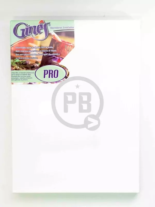 Bastidor gines 18x24