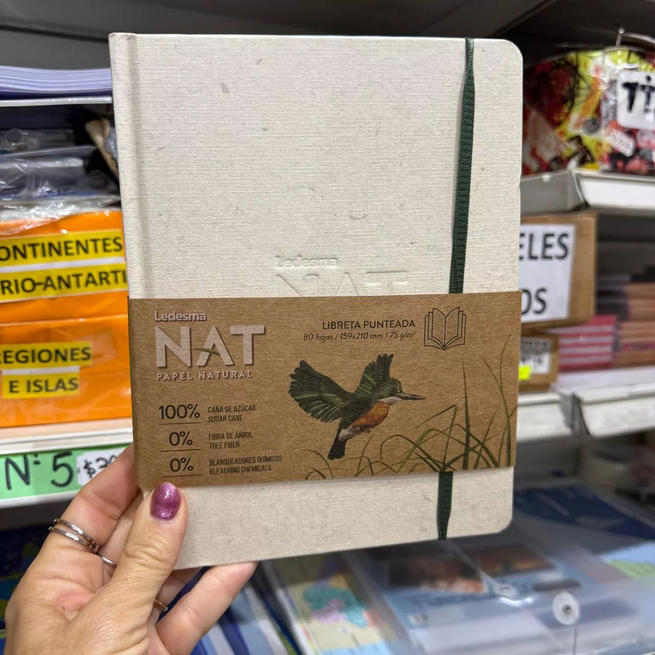 Cuaderno A5 Ledesma Nat 16*21 Punteado