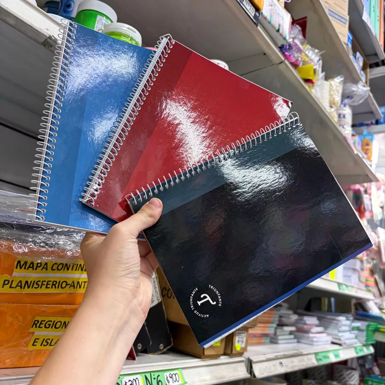 Cuaderno A5 Triunfante x42 hojas