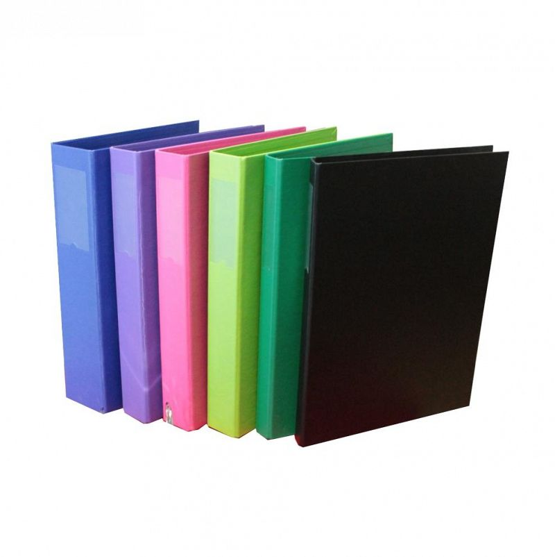 CARPETA THE PEL A4 2 X 20 MM. FORRADA