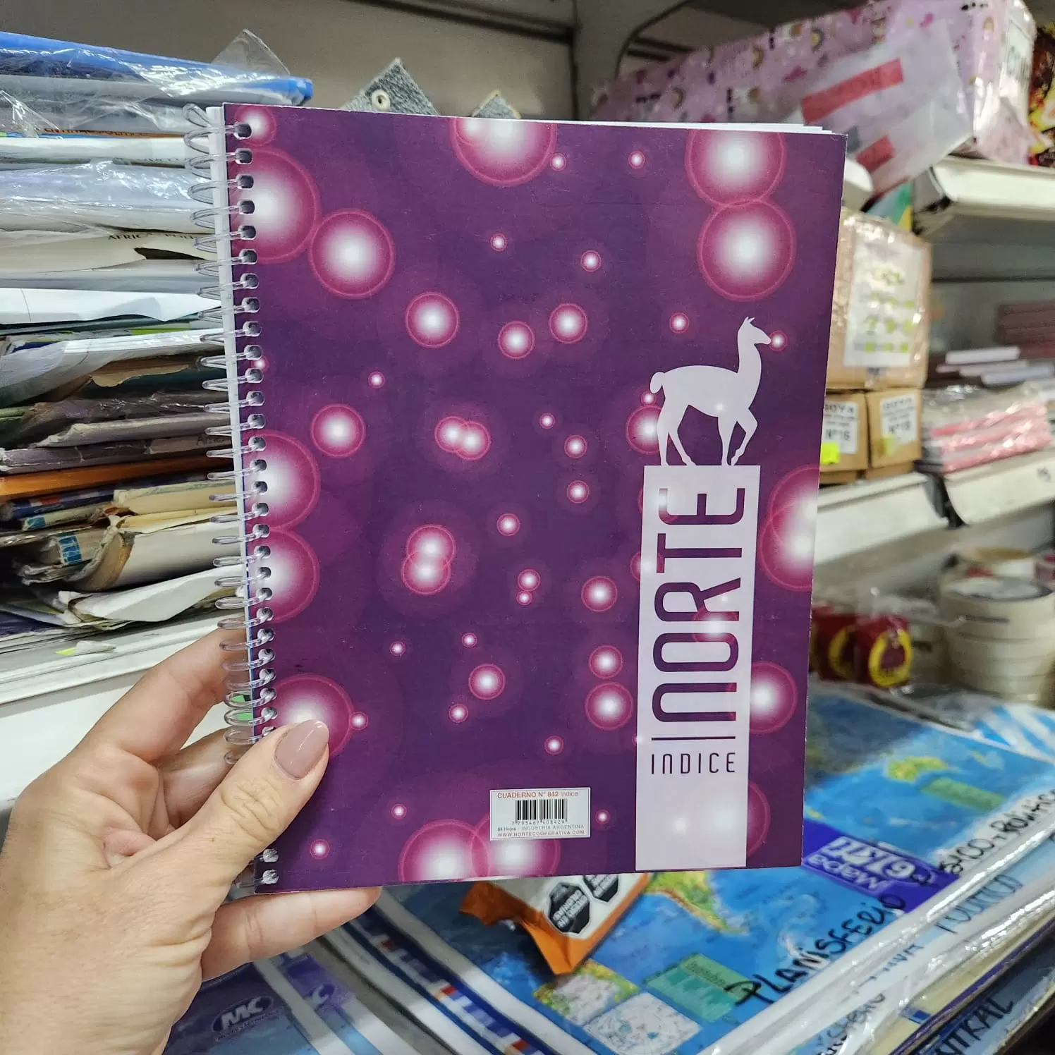 Cuaderno índice Espiral Norte 