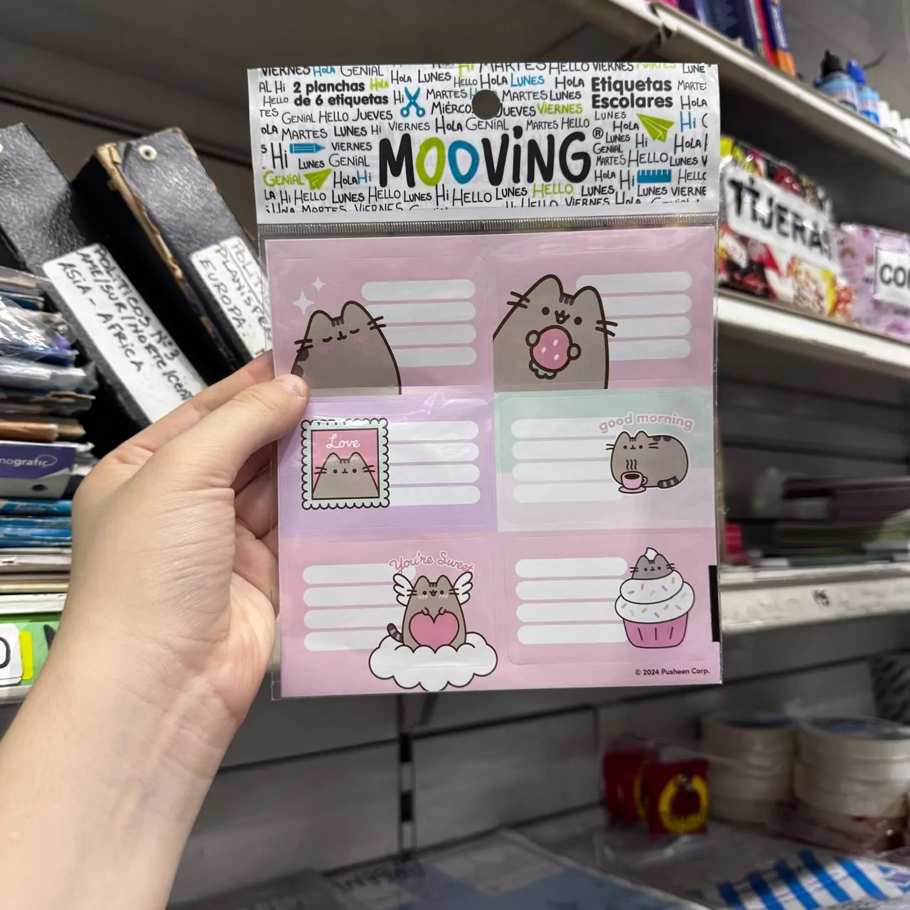 Etiquetas Pusheen