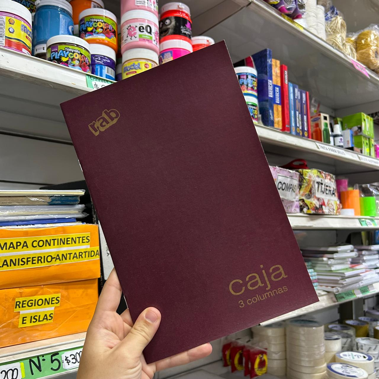 Libro de contabilidad RAB T/F Caja 3 columnas